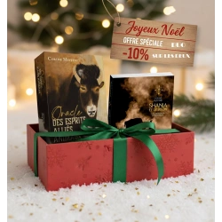promo_de_noel_2025