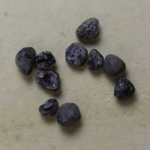 jaj_7104