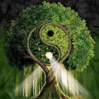 QUÉBEC : Les Mondes Chamaniques, le Monde d’en Bas et le Monde d’en Haut 